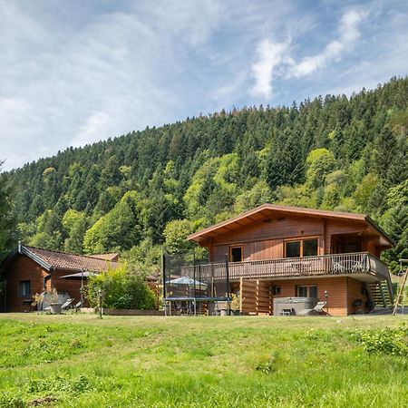 Chalets Du Bouchot & Jacuzzi Privatif Proximite Gerardmer & La Bresse Rochesson Экстерьер фото